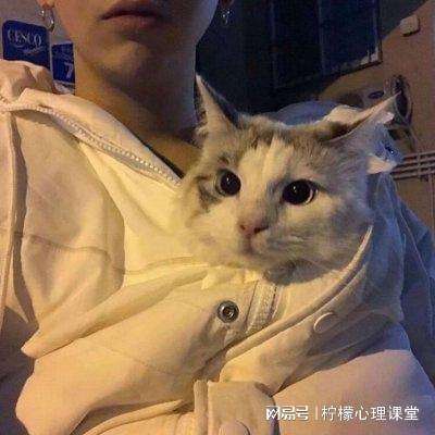 天道问情游戏下载